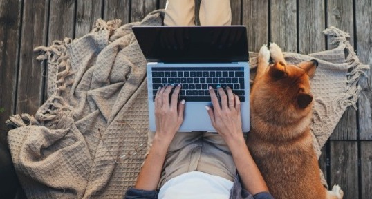 person on computer with dog